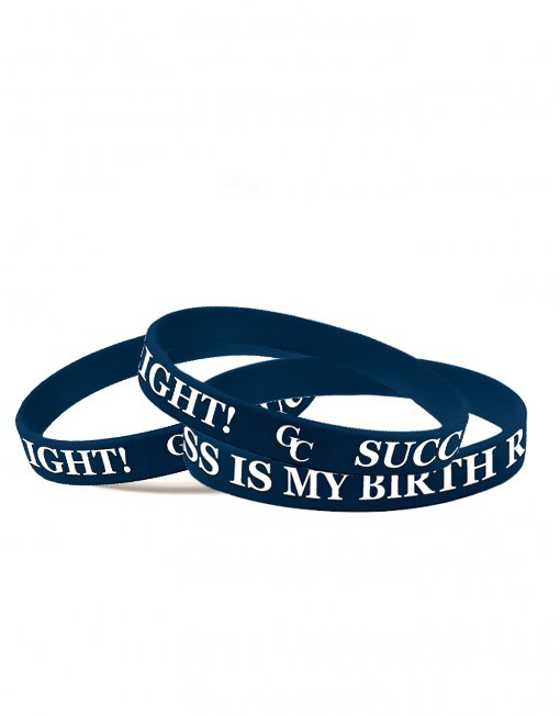 Success is My Birth Right! GC Wristbands